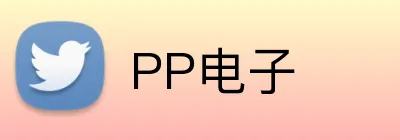 PP电子 logo